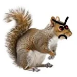 yapping squirrel