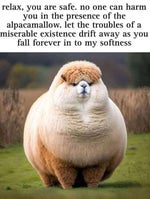 Scarlet Fire Otis McDonald (Loud