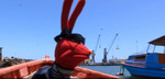 bodoque no soy su amigo quien es usted que le importa