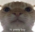 im sorry, i got nervous