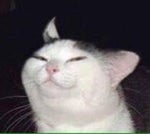 Siinamota Young Girl A