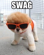 spongebob spongebob ByTuna