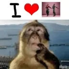 making it out the hood?