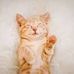 feel good inc windmill break