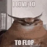 I'm FLOPPA