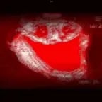 FUNK DO FEAR - SXLLX