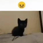 ypunchsofar