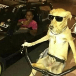 is there free breakfast here