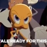 Y'all ready for this?