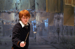 Harry Potter 4 - Harry - Ron