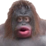 warning bot trolling sound for gorilla tag