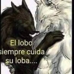El lobo siempre cuida su loba - Sound