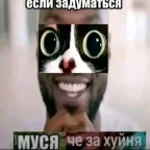 bratishka zloy pro govno