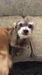 Earth, Wind Fire September (Instrumental)