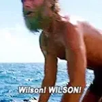 wilson