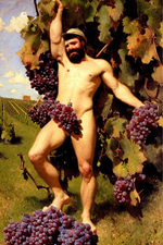 vine boom