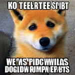 im jus tesin sorry dudes