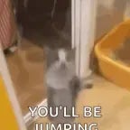 join me im getting jumped (copy)