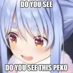 Usada Pekora AH↓HA↑HA↑HA↑HA↑