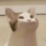 Bakso Tanpa Tepung (copy)