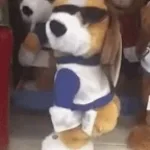 Bola Rebola