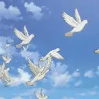 sonmez-reyiz-ulan-senin-allah-beni-bir-kus-edecek