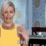 IShowspeed Crashing Out On Stream Meme Template by @514MMemes