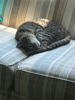 Quandale Dingle Fart Meme (sound effect)