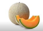 Cantaloupe