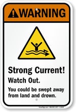 Record online voice recorder