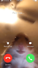 Discord Secret Ringtone