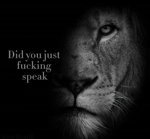 Banane chocolat Gazo