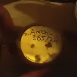 Mahito yelling to Yuji