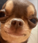 Lucio101 X Lerizzle X Omar Bunte Papiere prod by Richie Beatz