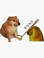 Bonk