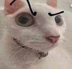 عبود ياقول اكل زبادي وا فول - Sound