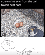 up movie theme giampaolo pasquile