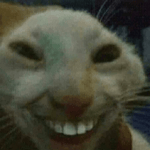 they wrong for dis 1