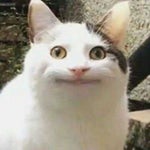 Glee The Fox What Does The Fox Say part 3