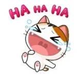 Meow 😼😼 ... hahaha 😂😂 #shorts #laughing #memes