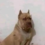 Reacting meme sound 2