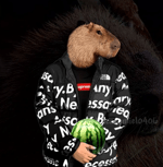 I may not have a brain gentleman - Sound