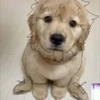 high pitch frequency