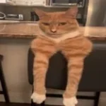 Have you ever wanted free movies?