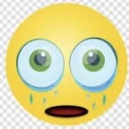 im bout to finish my burgir