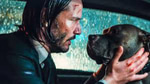 Keanu Reeves - John Wick - Hello