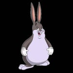 Everson Zoio falando arabe