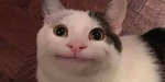 Exiloy UwU