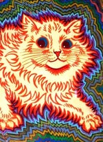 Cody Drake Minors 25