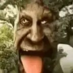 linga guli guli guli